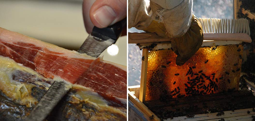 Food of Sierra de Aracena