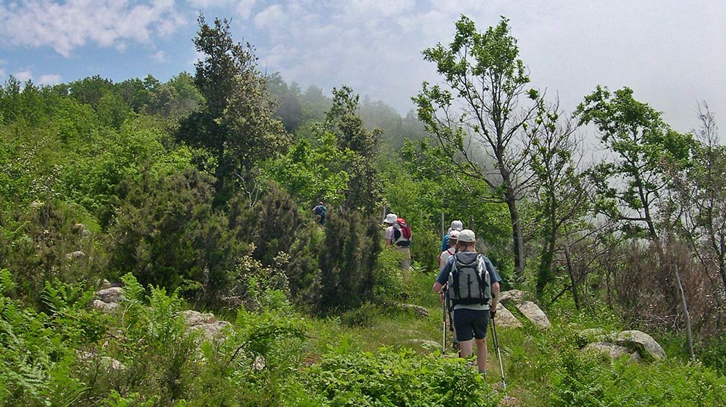 Monte Stella ridge walk - Cilento walking holiday
