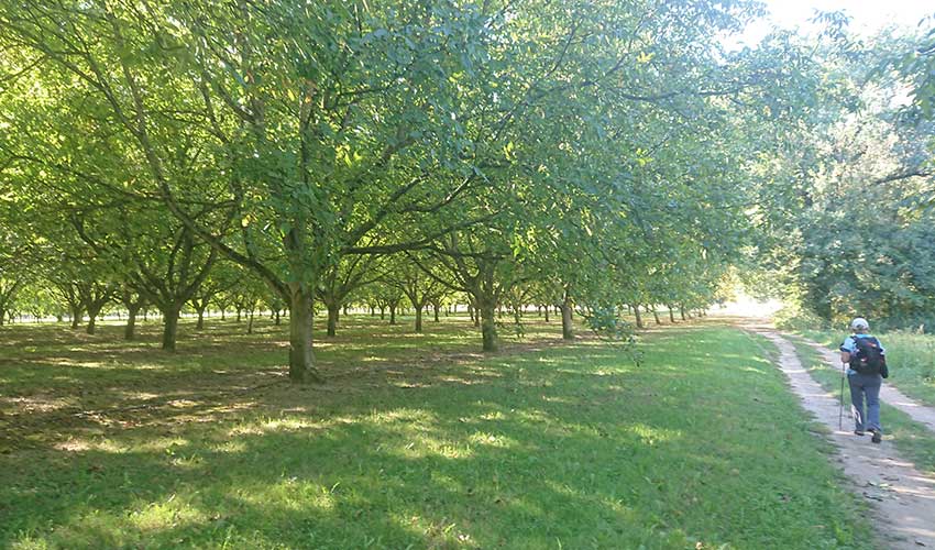 Dordogne Self-Guided Walking