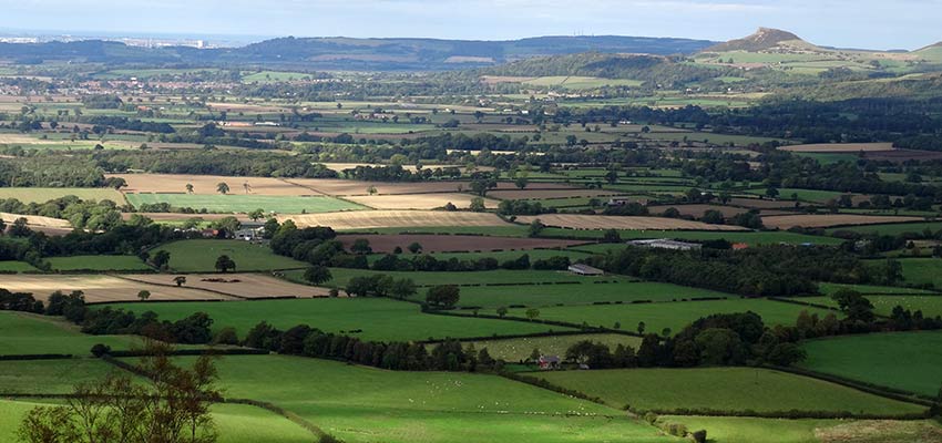 hiking terms - what is a hedgerow - sherpa expeditions