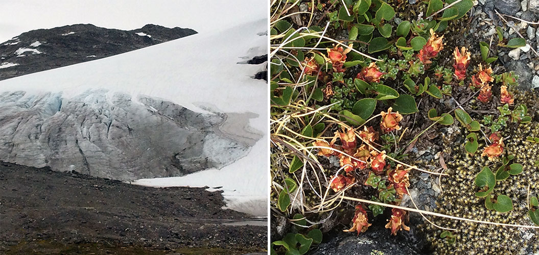 glacier on a hike in Norway fjordland