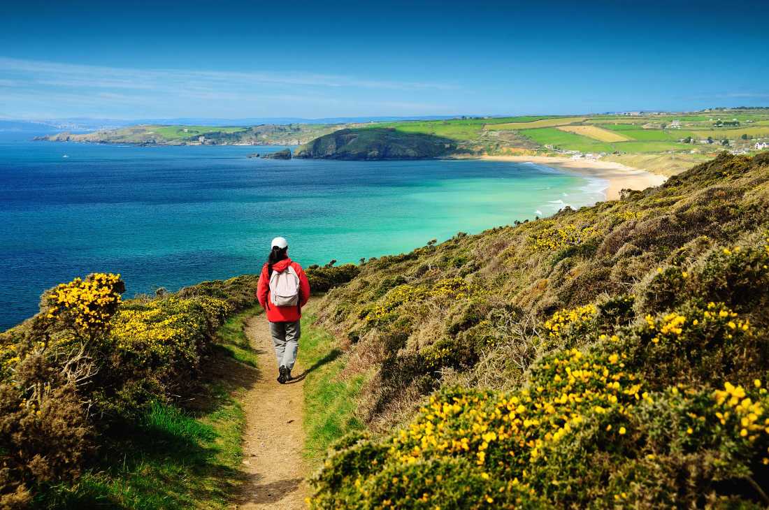 Walking the Salt Path, or South West Coast Path, in England |  Roy Curtis