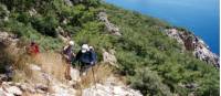 Coastal walk in the Cirali region of Turkey