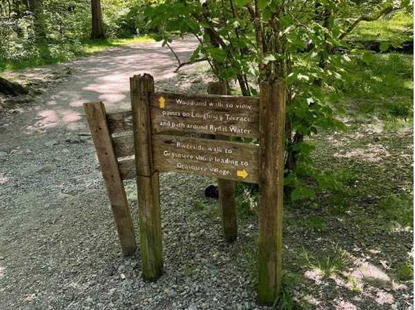 C2C Signage |  Tegan Pereira