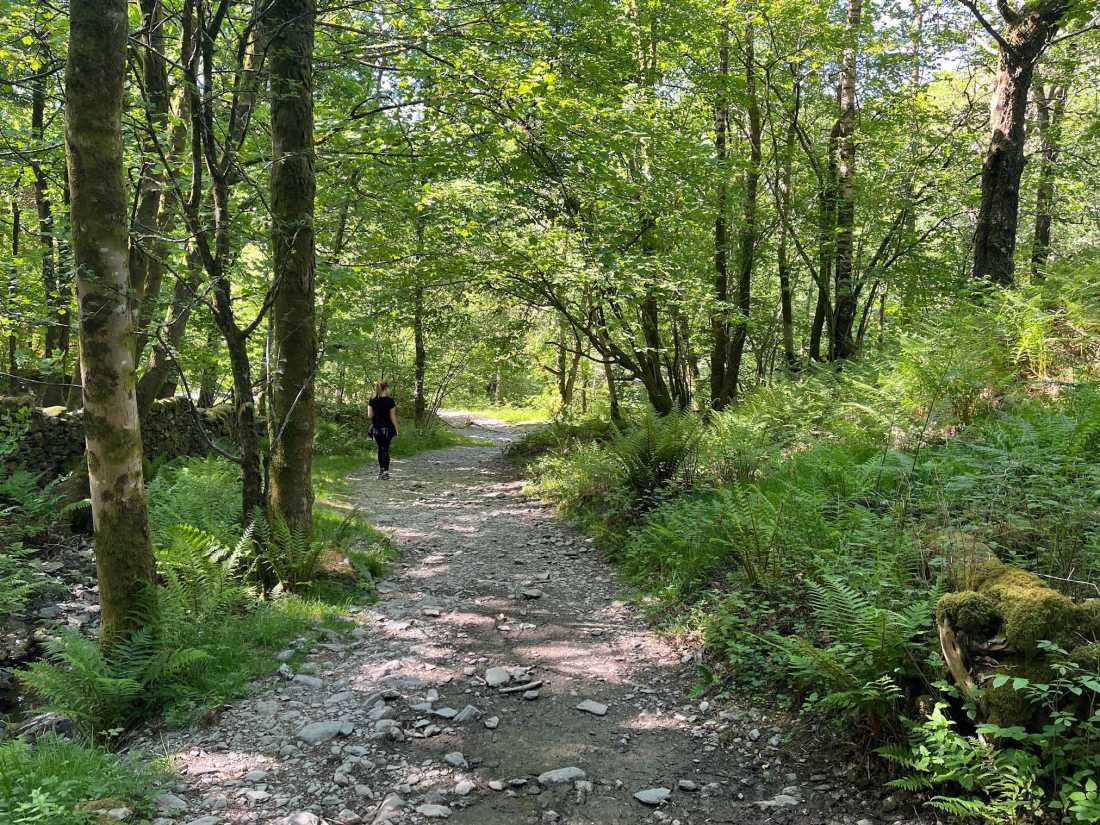 Hiking around Grasmere Lake |  Tegan Pereira