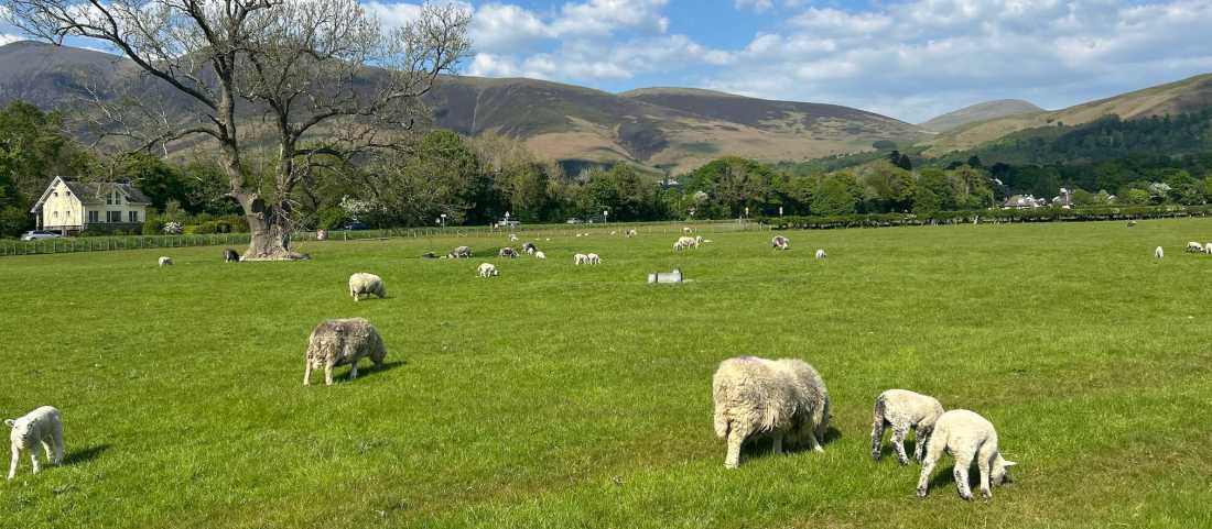 Hiking around Cumbria in Spring |  Tegan Pereira