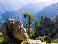Spectacular scenery of the Tavignano Valley, Corsica |  Quentin Scouflaire