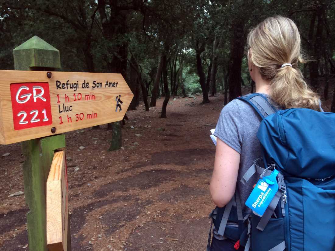 Walking in the dense forests around Lluc |  Els van Veelen